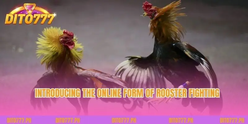 Introducing the online form of Rooster Fighting