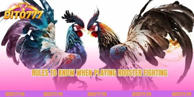 Rules to know when playing Rooster Fighting